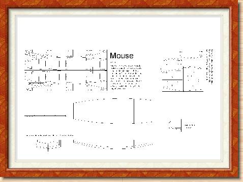 Cliquer pour l'image originale