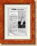 Tern_1 * 911 x 1358 * (247KB)